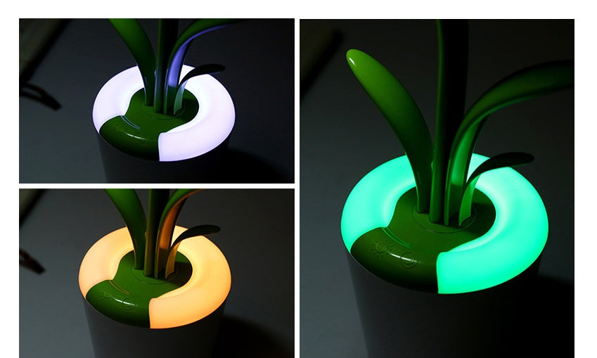 Modern Desk Light