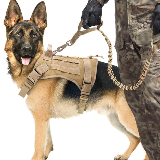 Elastic Buffer Of Outdoor Pet Tracktion Rope